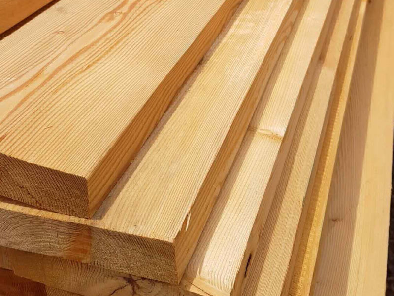 Siberian Larch Imported into New Zealand