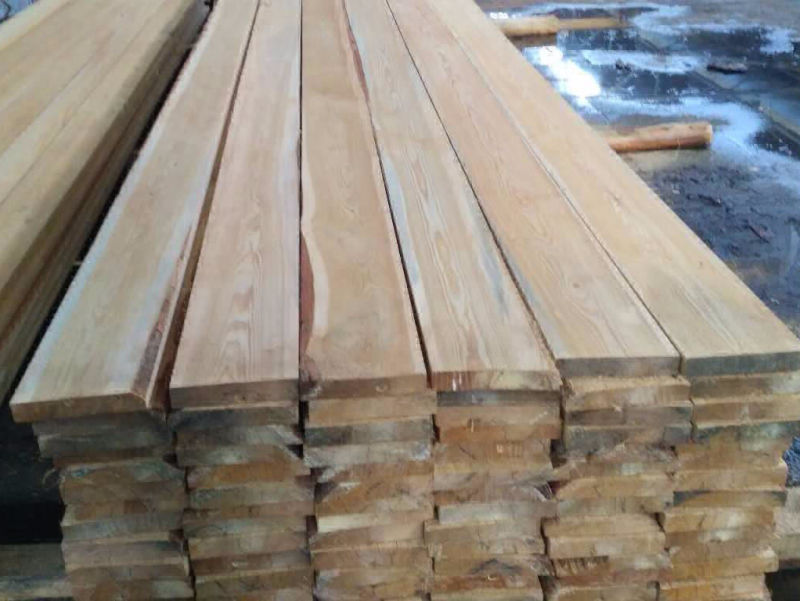 Best Quality Siberian Larch Wood in New Zealand